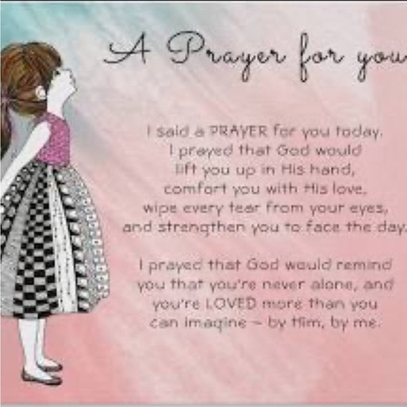 Meet your Posher, Ladybug - Picture 3 of 7